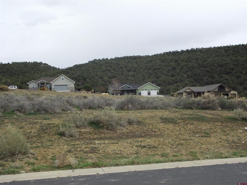 Land For Sale, Cedaredge, CO