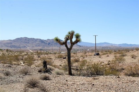 Joshua Tree Land with Utilities