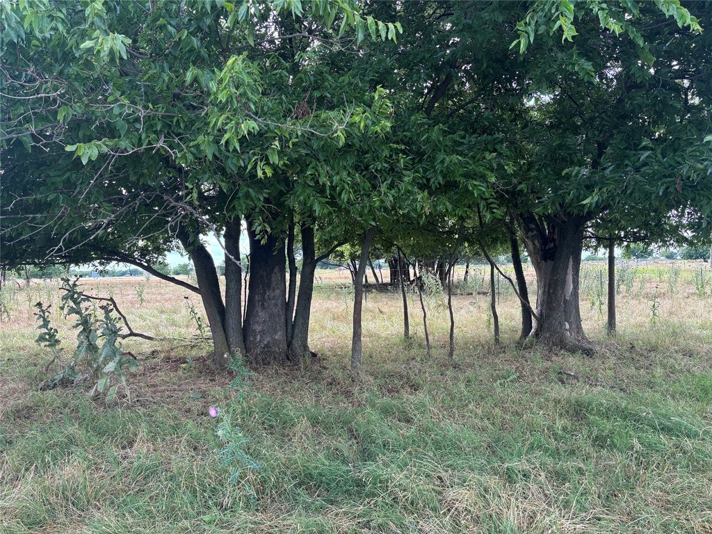 Picture 7