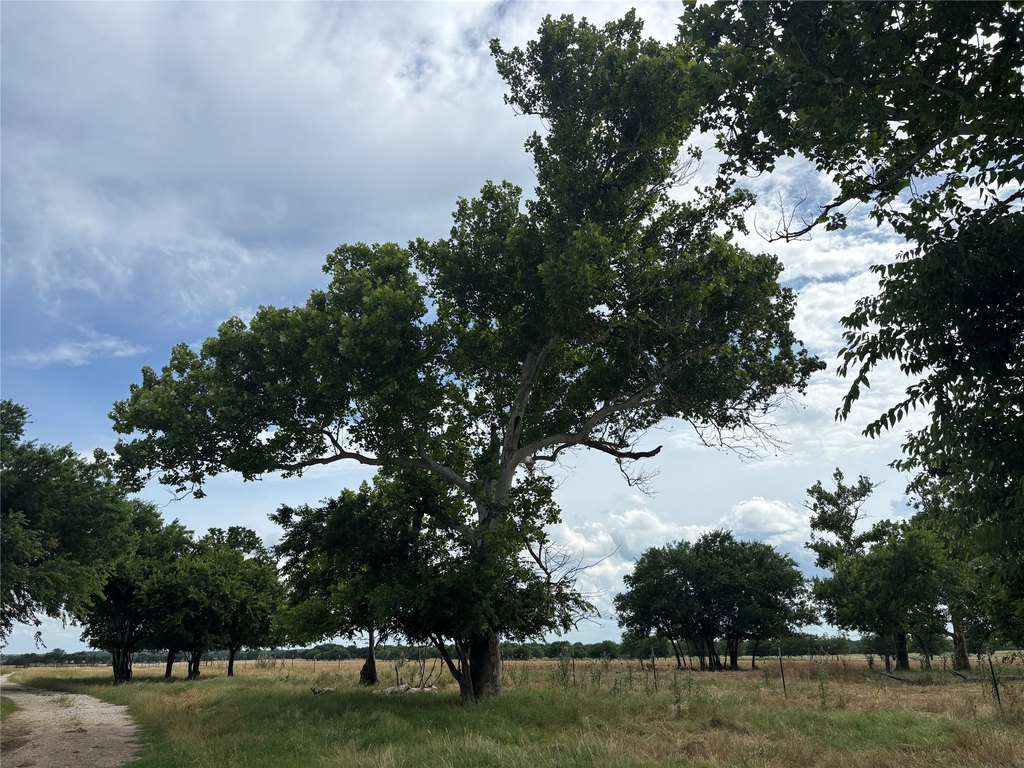 Picture 24