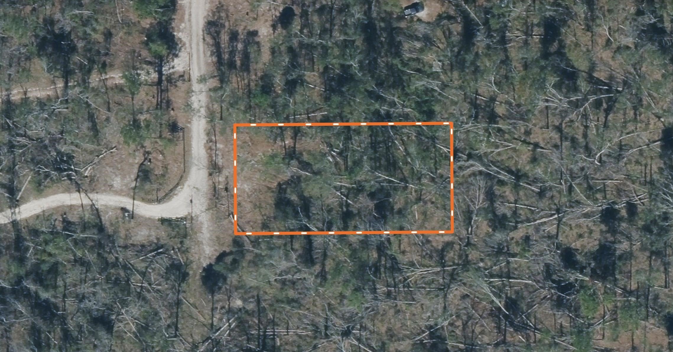 Wooded Lot Near Suwannee River
