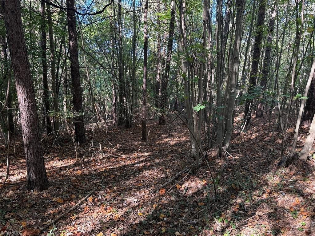 Picture 16