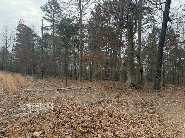 Picture 13
