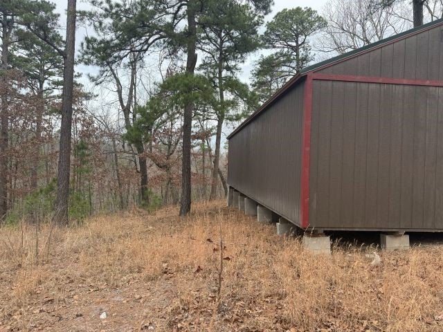 Picture 5