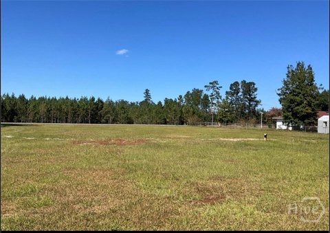 LAND - Guyton, GA