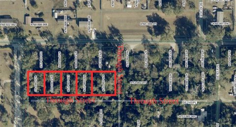 Land, SUMMERFIELD, FL