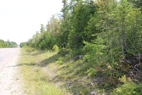 LAND - DE TOUR, MI