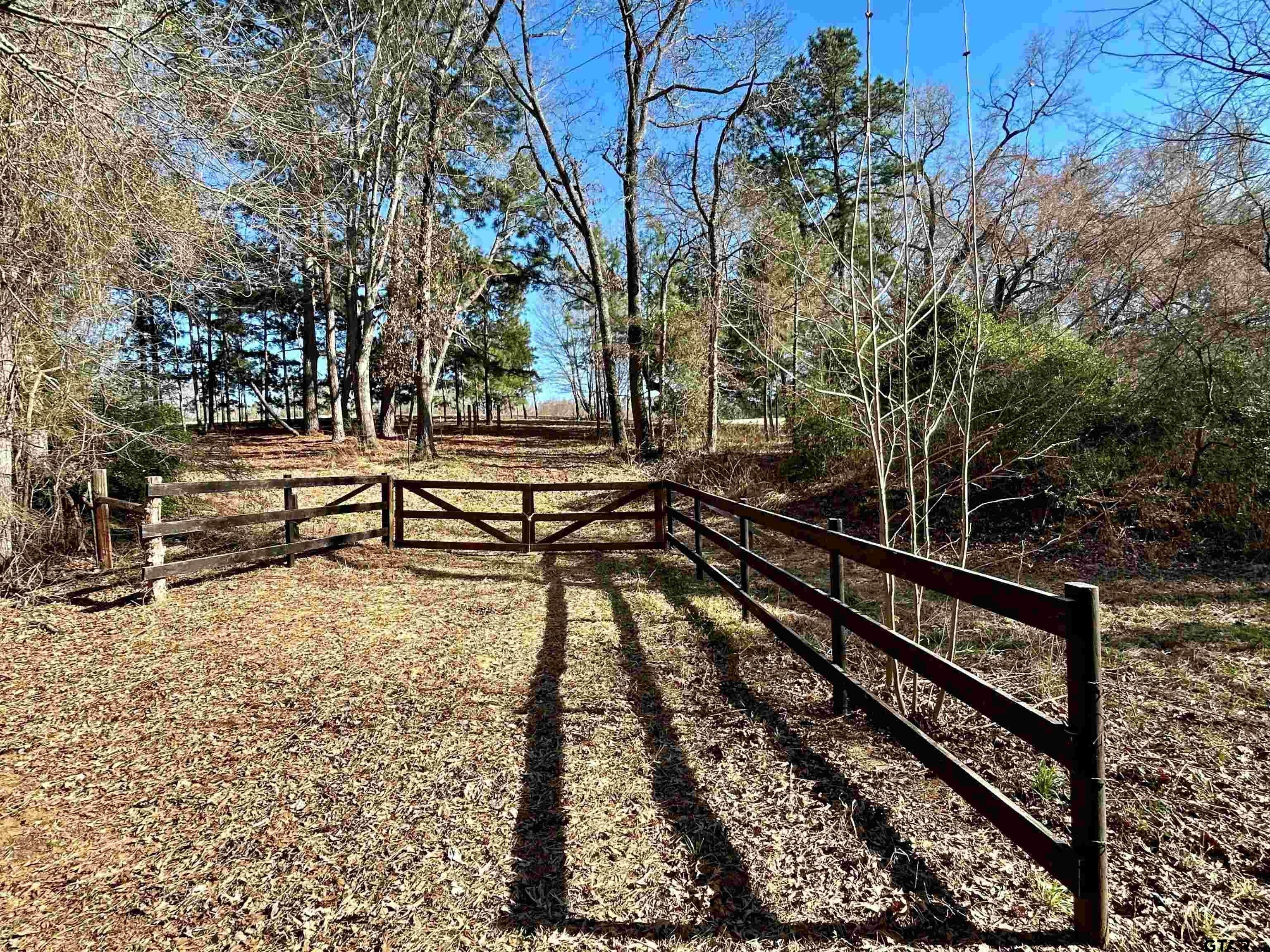 Pasture Land with Mature Timber