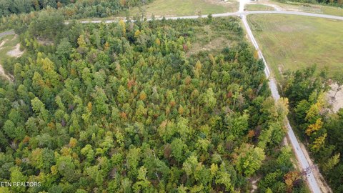 Lots & Acreage, Huntsville, TN