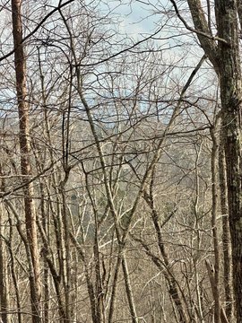Vacant Lot, Blue Ridge, GA