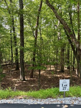 Vacant Lot, Blue Ridge, GA