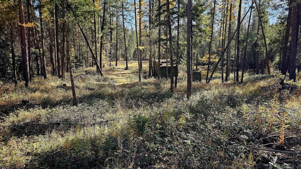 Picture 14