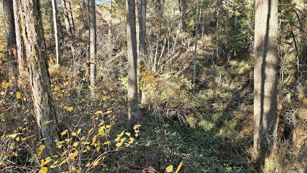 Picture 16
