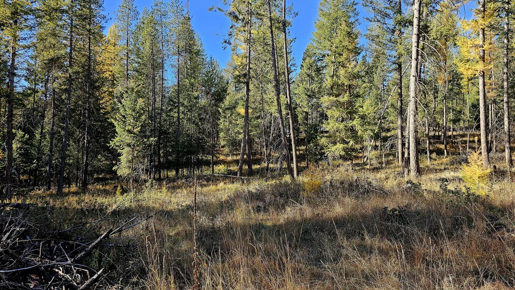 Picture 9