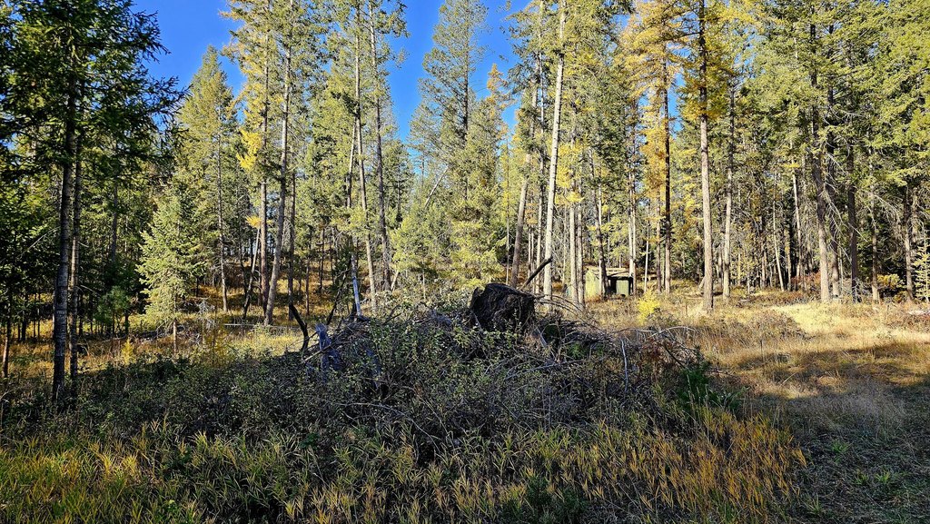 Picture 8