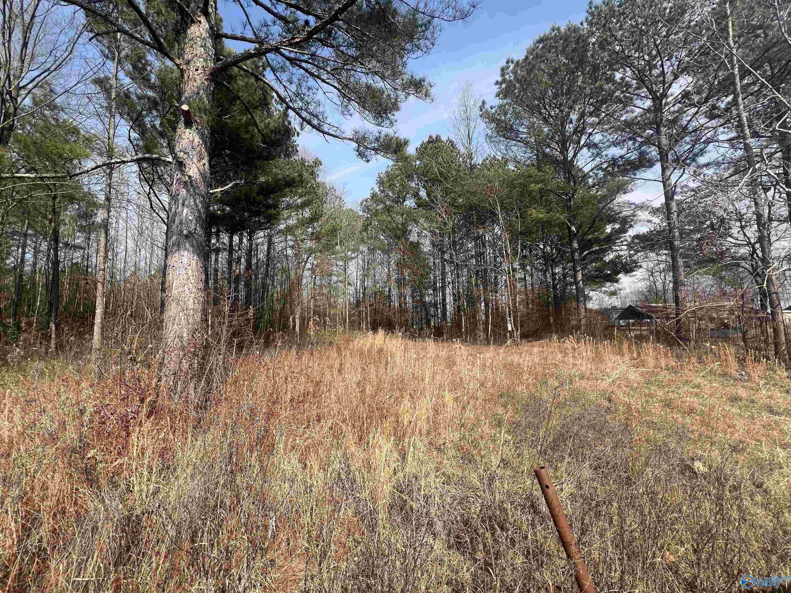 Level RV Lot with View