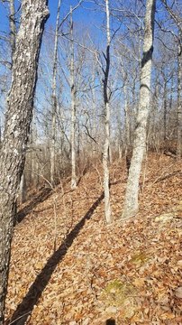 Unrestricted Land in Holladay, TN