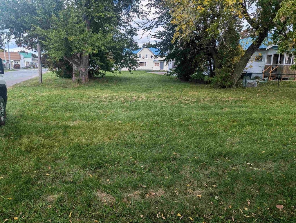 Picture 6