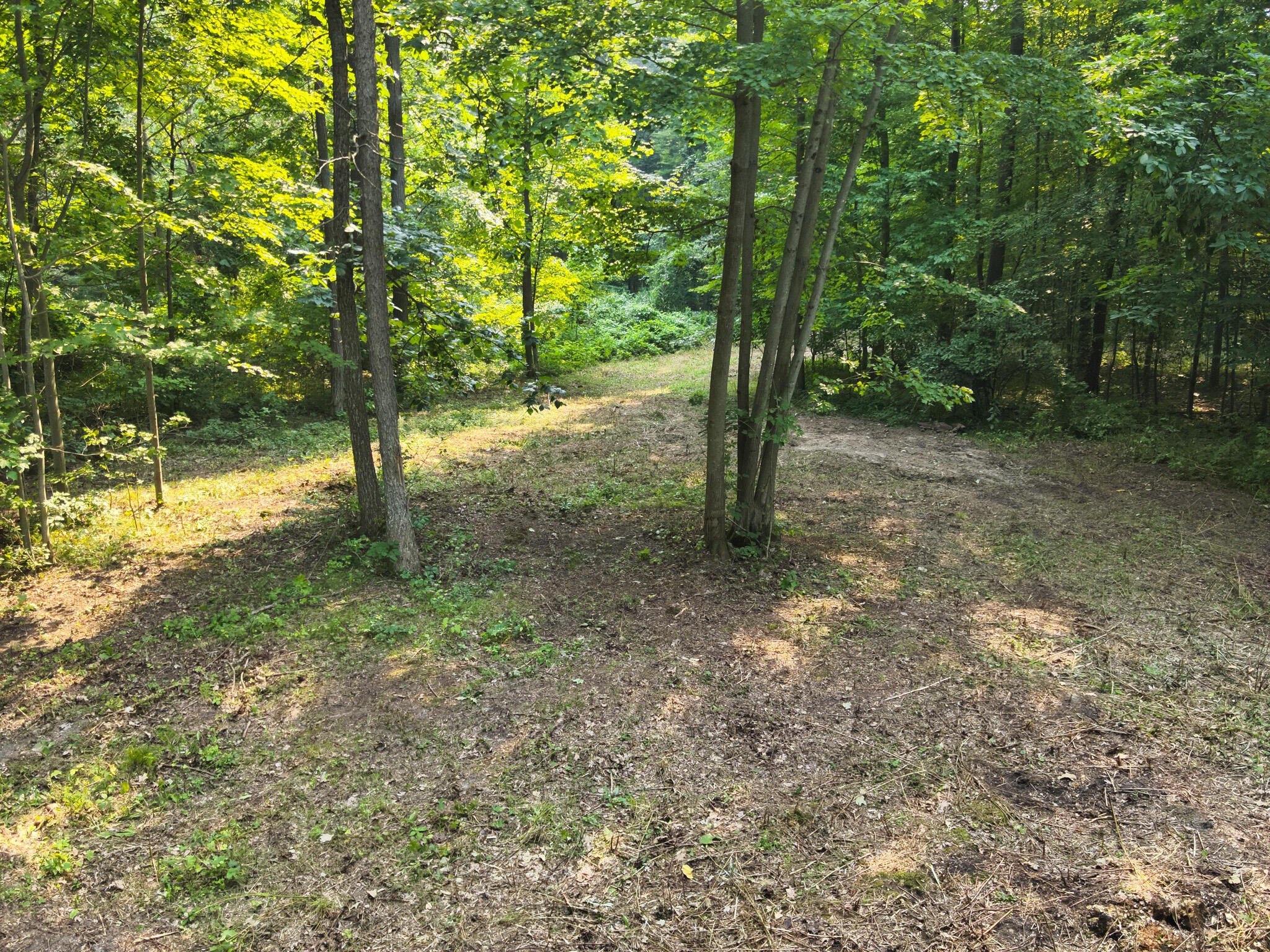 Wooded Lot with Fish Lake Access