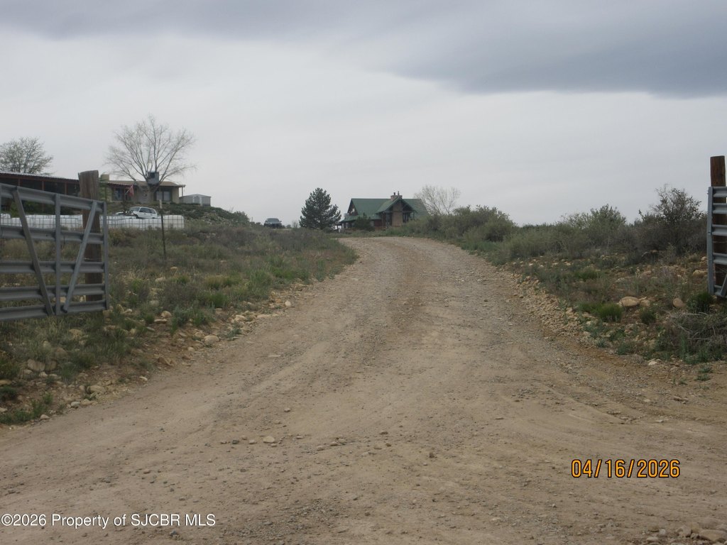 Picture 17