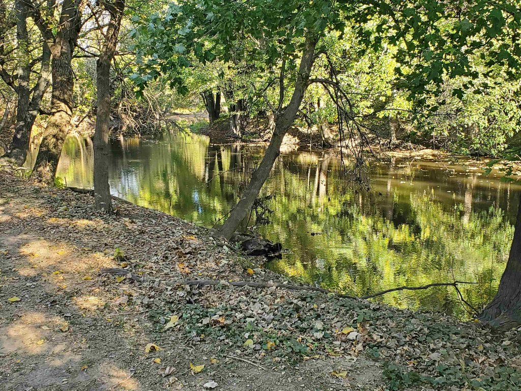 Picture 7
