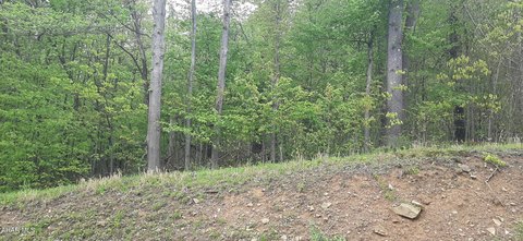 LAND - Lilly, PA