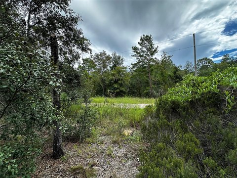 Land, WILLISTON, FL