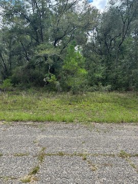 Citrus Springs Shovel-Ready Land