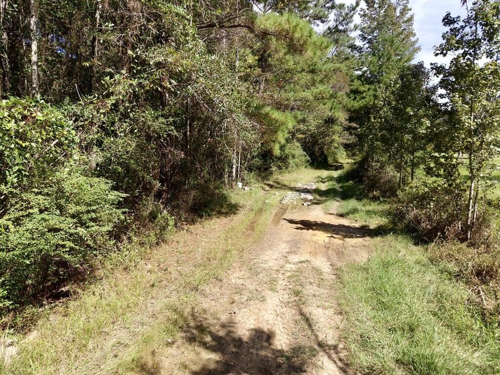 Picture 8