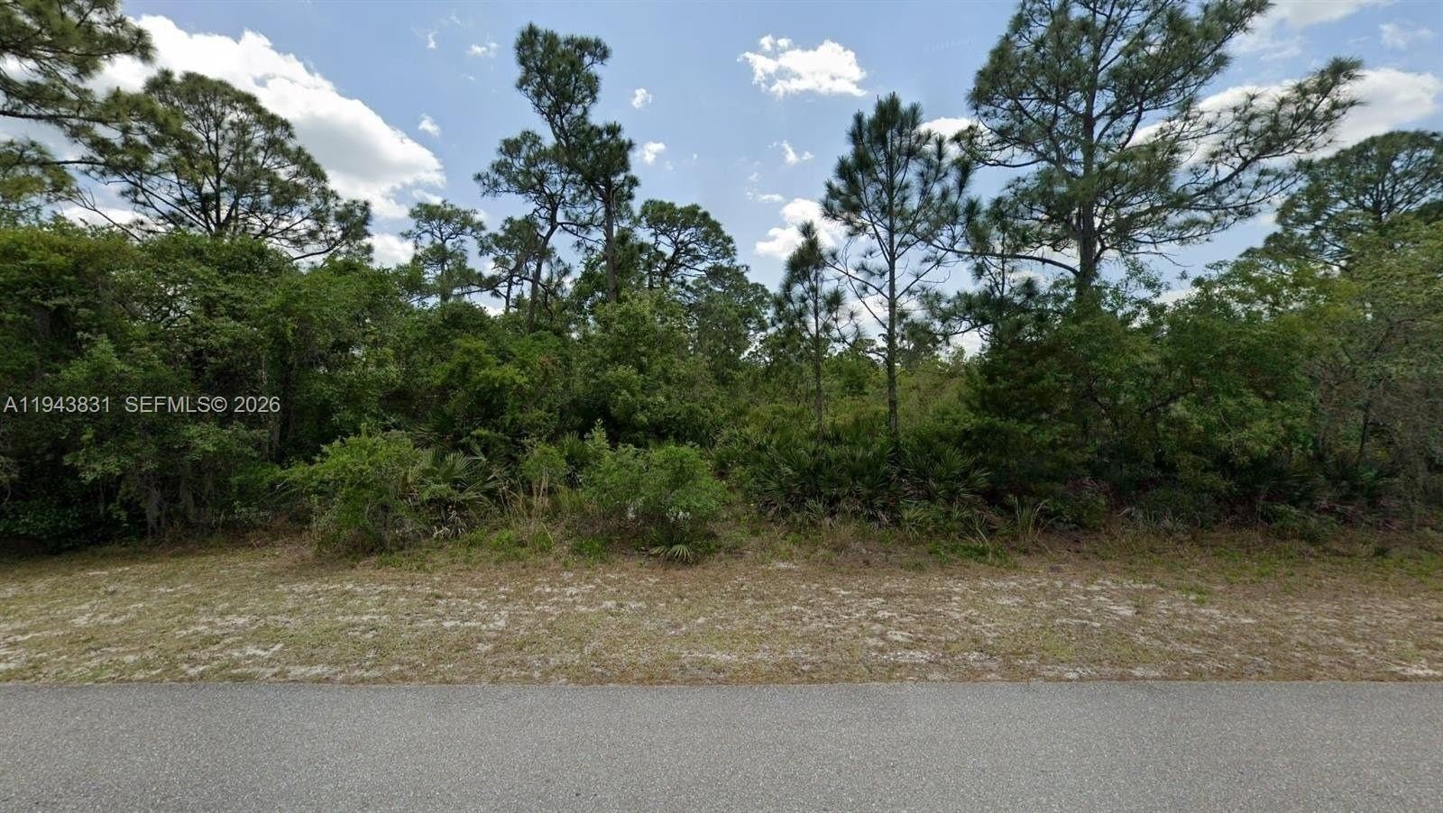 Residential Lot in Lake Placid