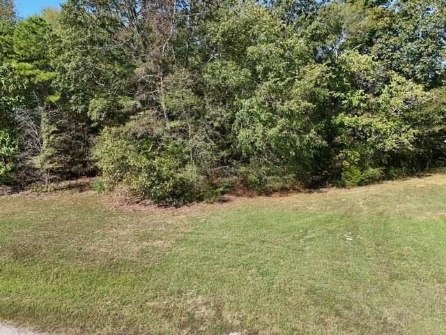 Picture 21