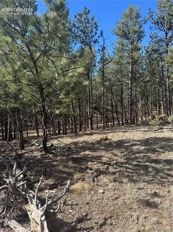 Land in Florissant, Colorado