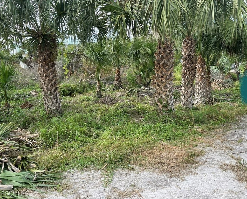 Picture 14