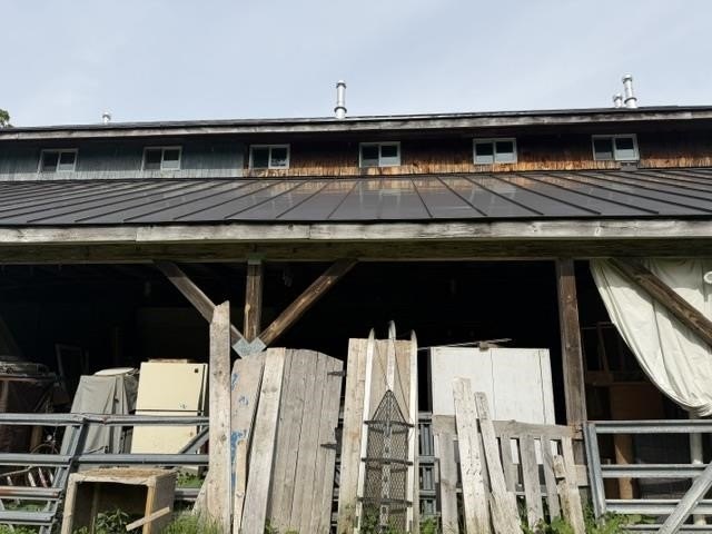 Picture 6