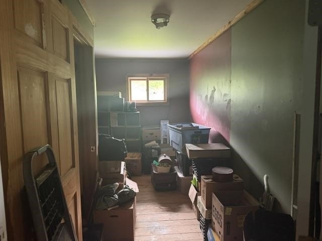 Picture 17