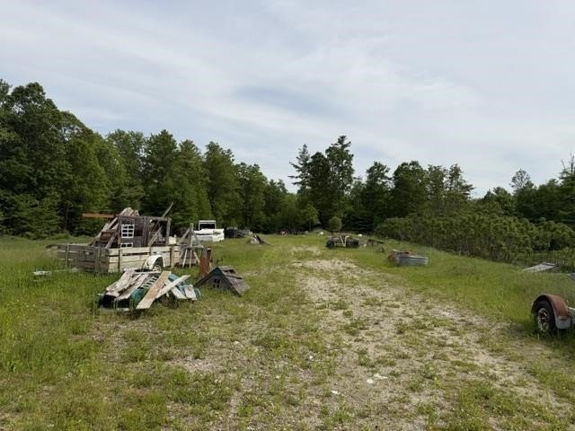 Picture 5