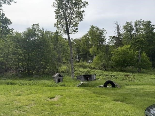 Picture 3