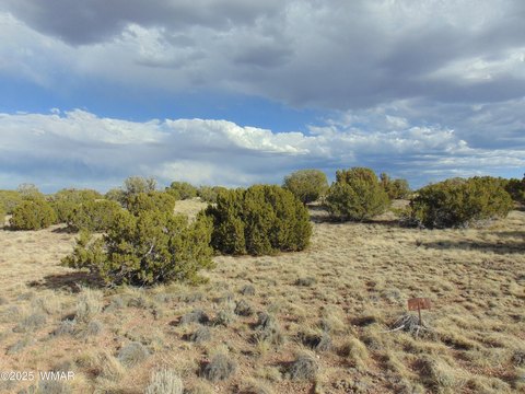 Concho, AZ Acreage Available