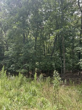 LAND - Morganton, GA