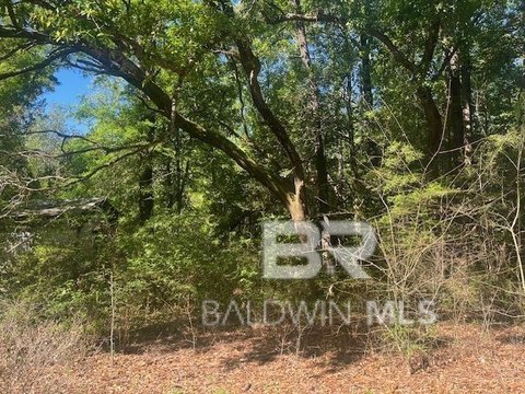 Land in Bay Minette, AL