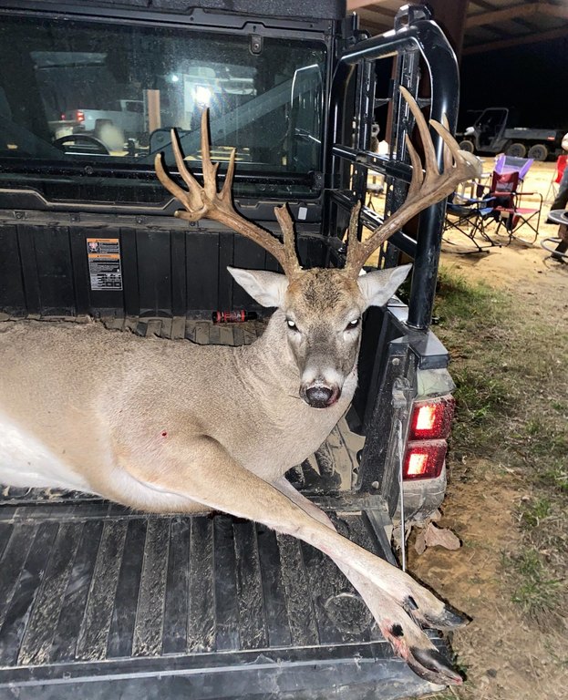 Picture 35