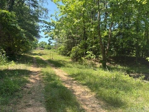 15 Acres of Land, Blevins
