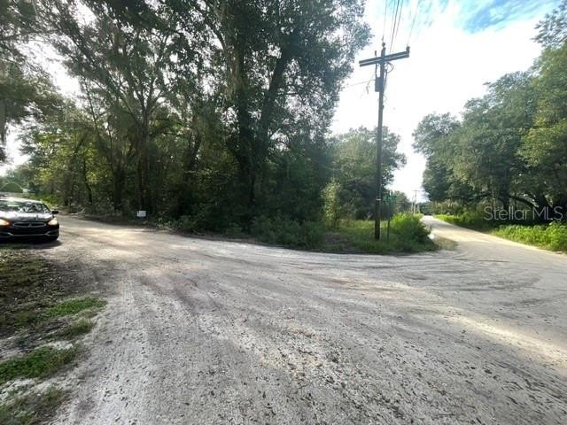 Picture 3