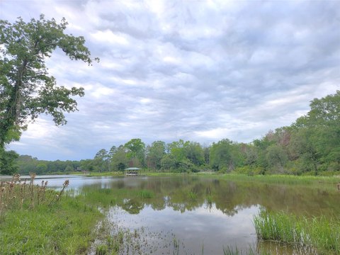 Lake Cove Waterfront Homesite