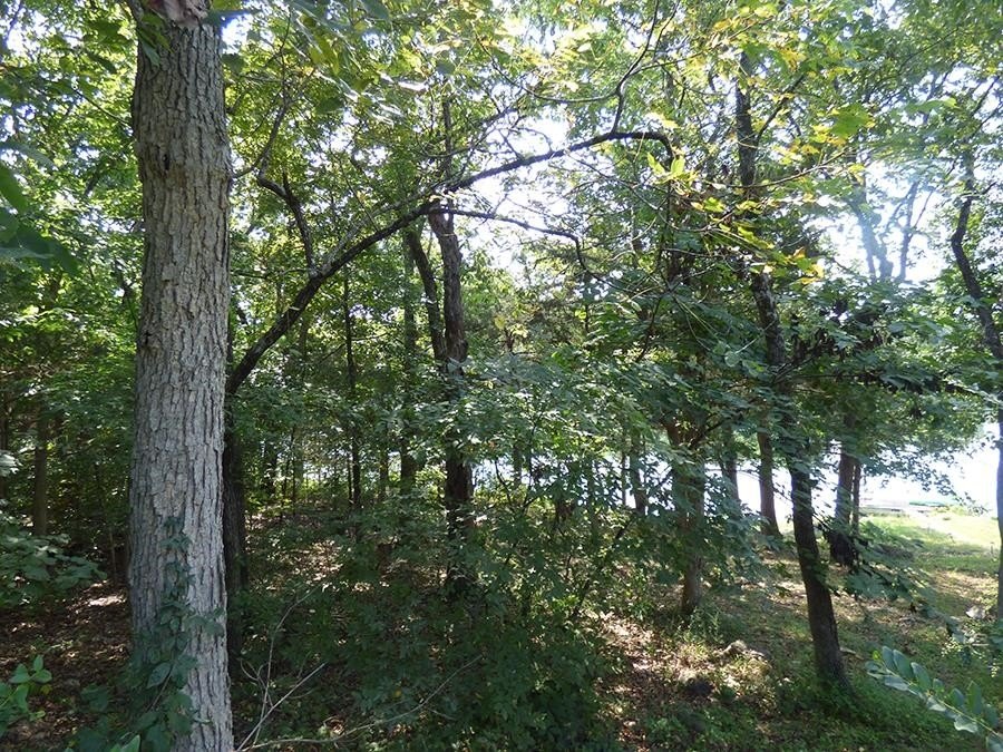 Lakefront Lot in Cherokee Village