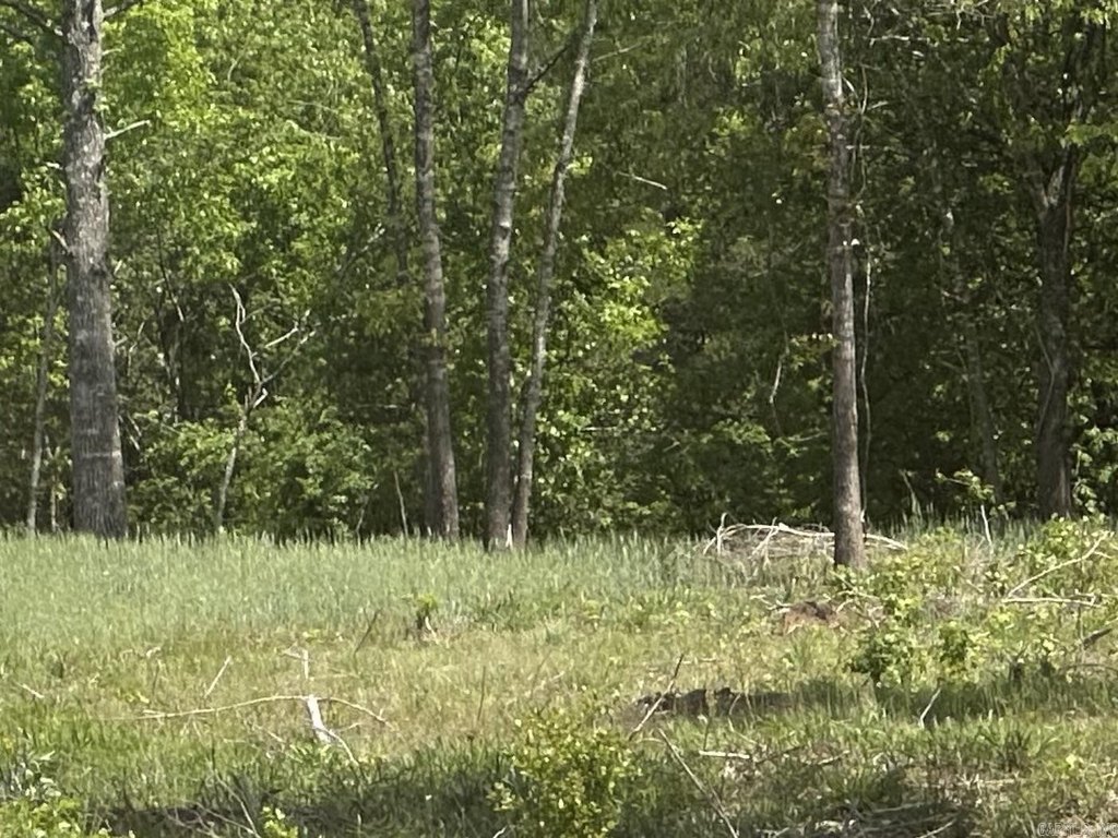 Picture 33