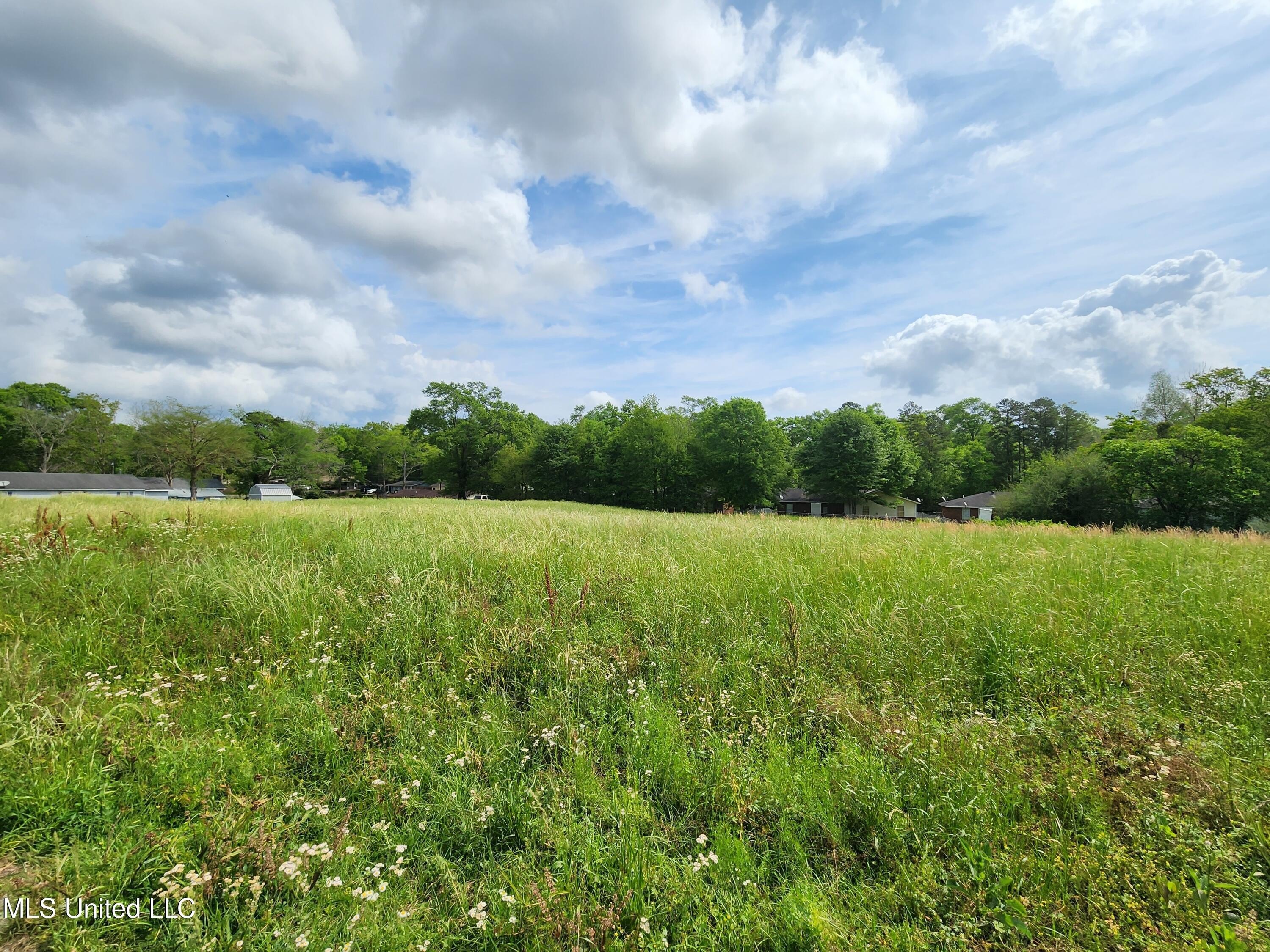 Vacant Land in Wiggins, MS