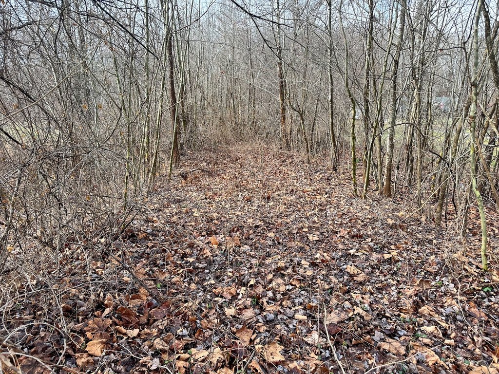 Picture 8