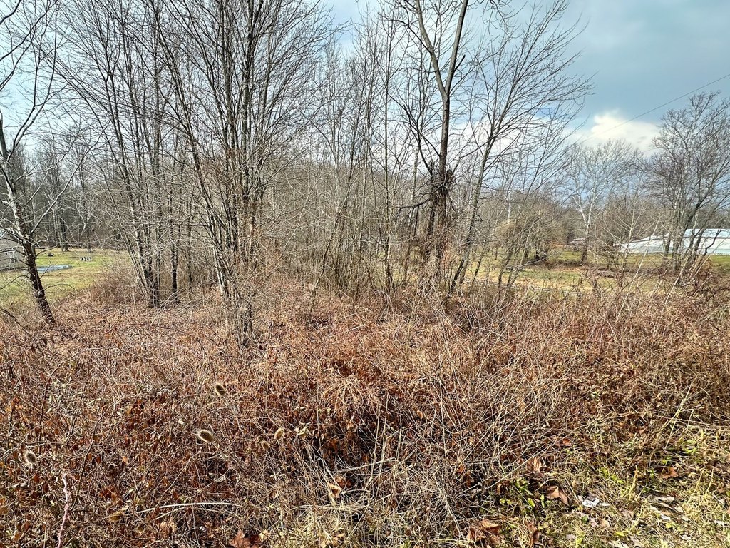 Picture 7