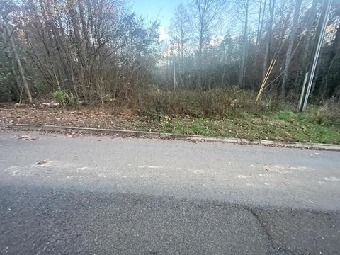 LAND - Cosby, TN